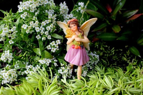 Fairy Farm Collection - Set 8 - Image 4