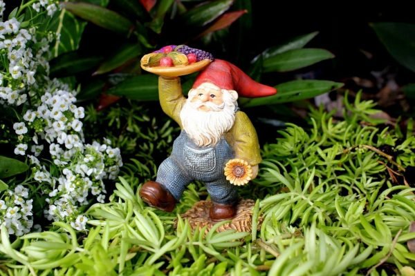 Fairy Farm Collection - Set 8 - Image 5