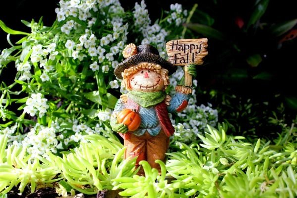 Fairy Farm Collection - Set 9 - Image 4