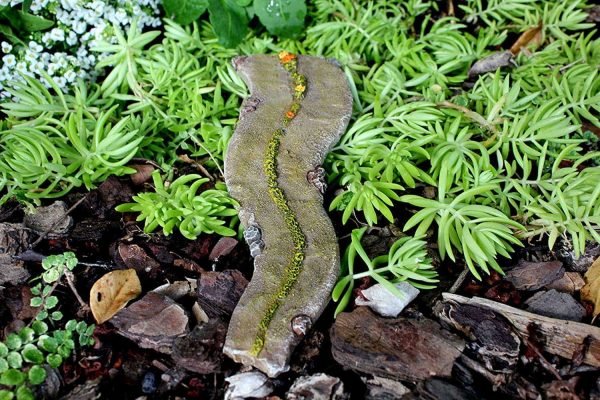 Miniature Walkway And Fences - Image 3